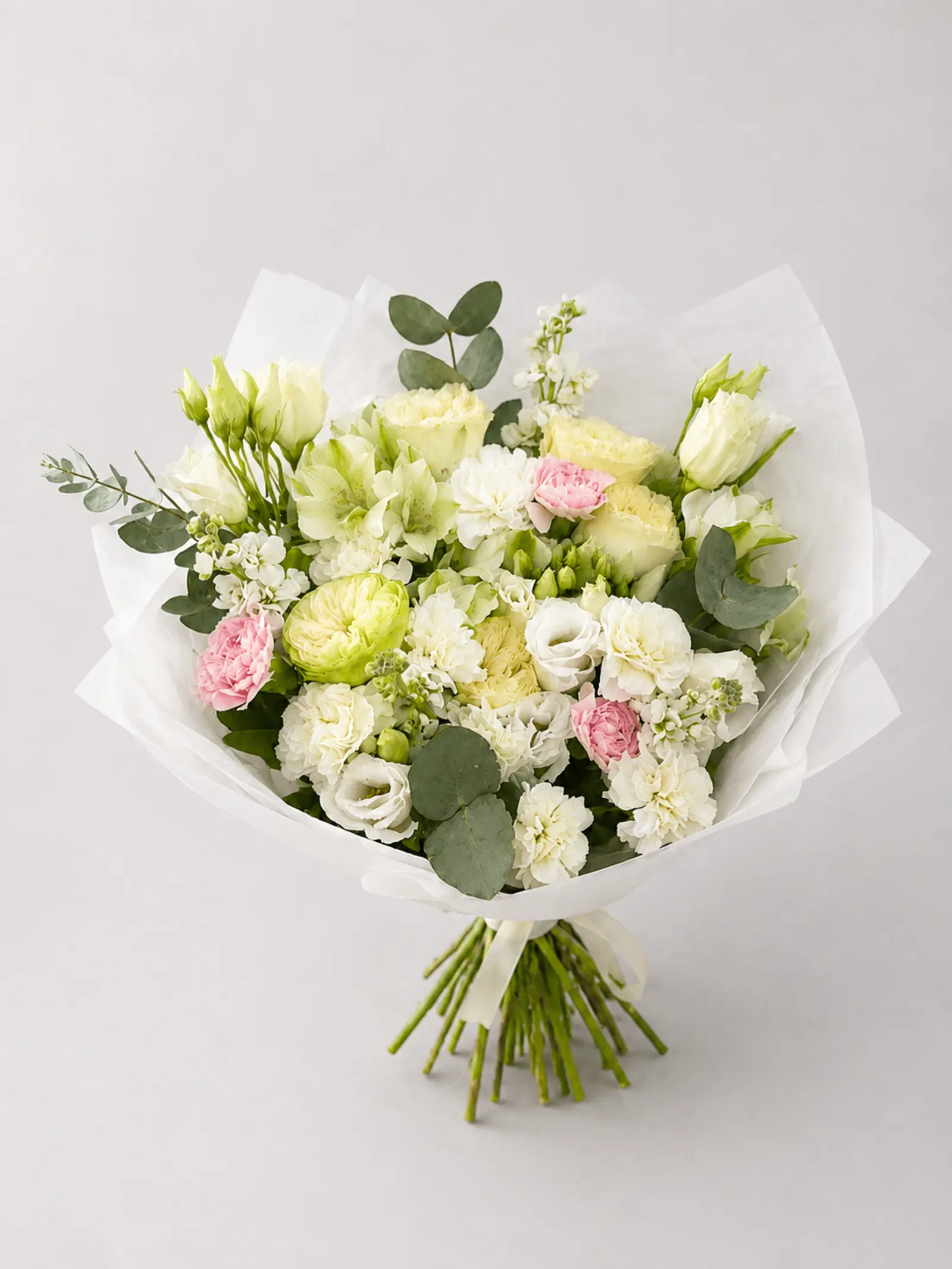 WHITE TENDERNESS