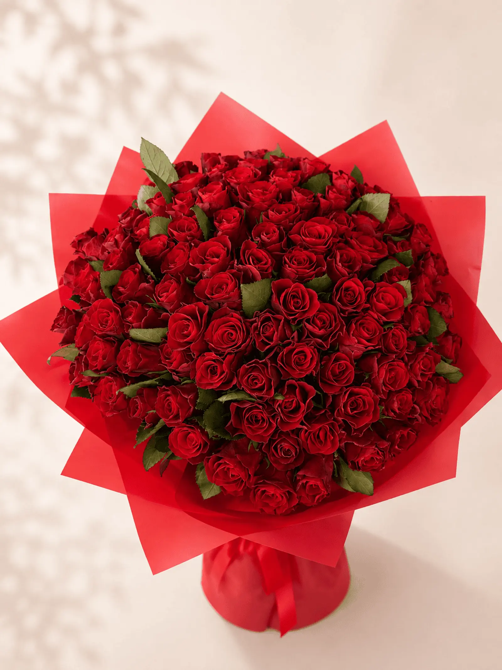 101 RED ROSES