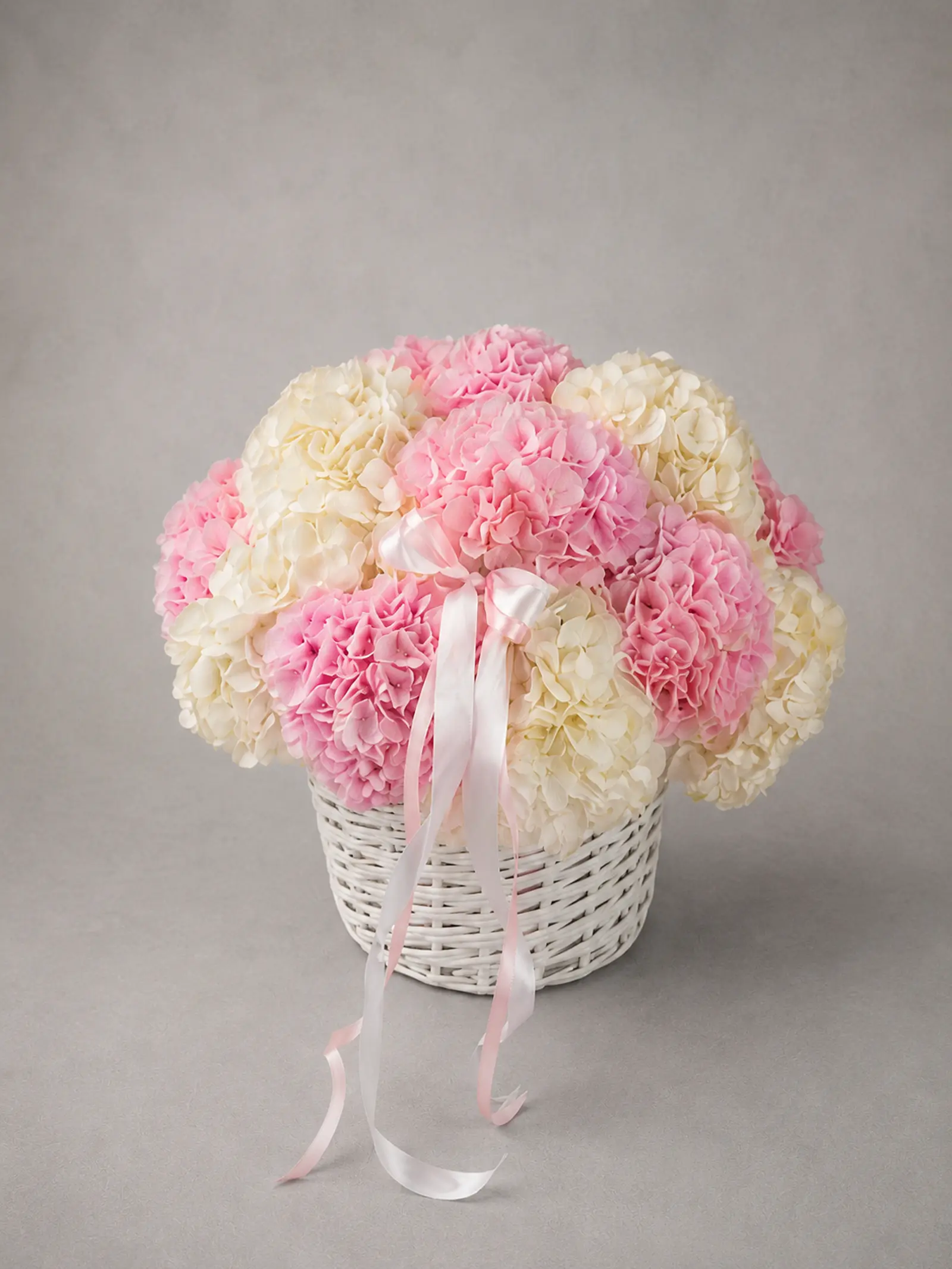 Hydrangea Cloud