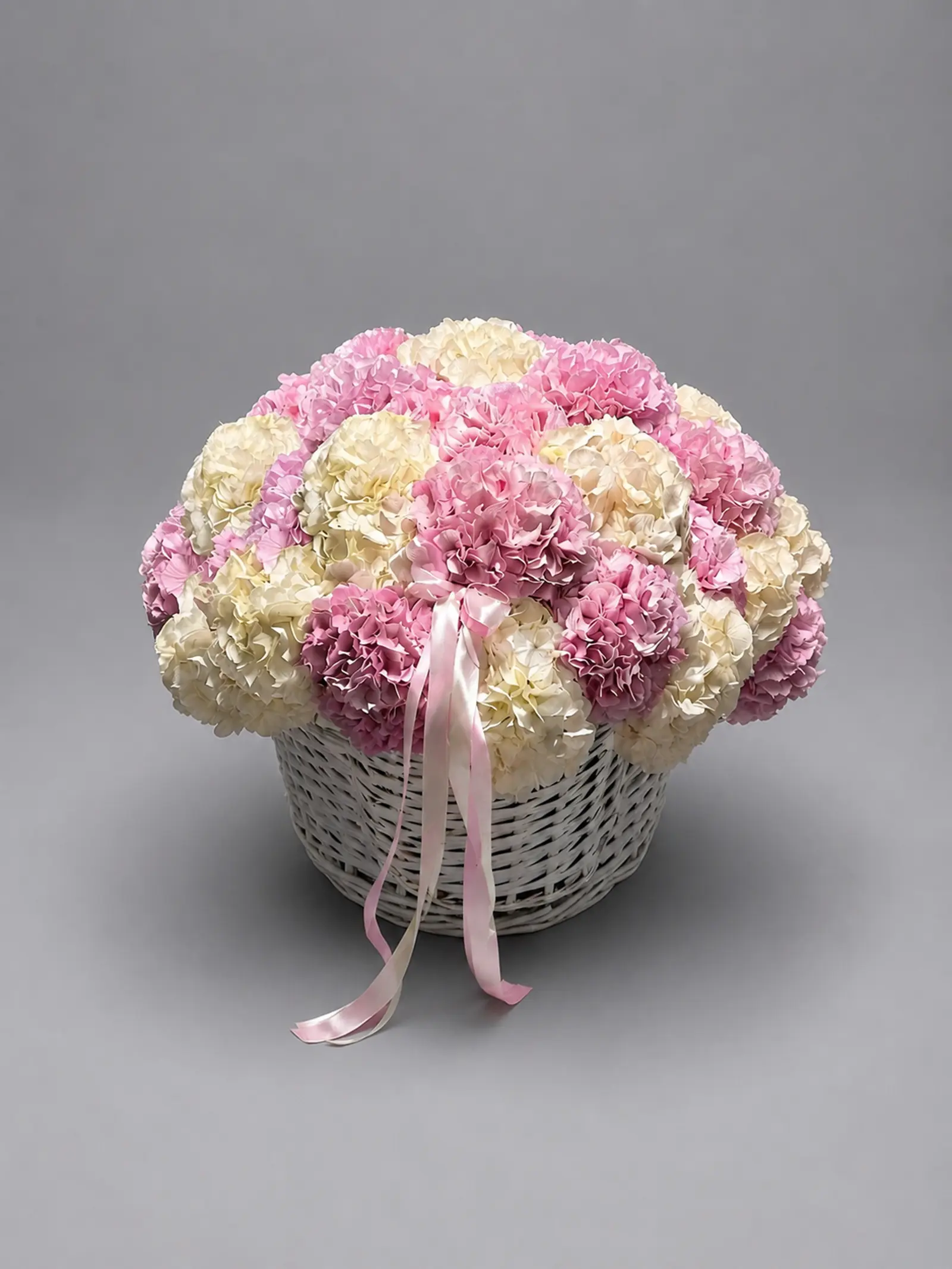 Hydrangea Cloud XL